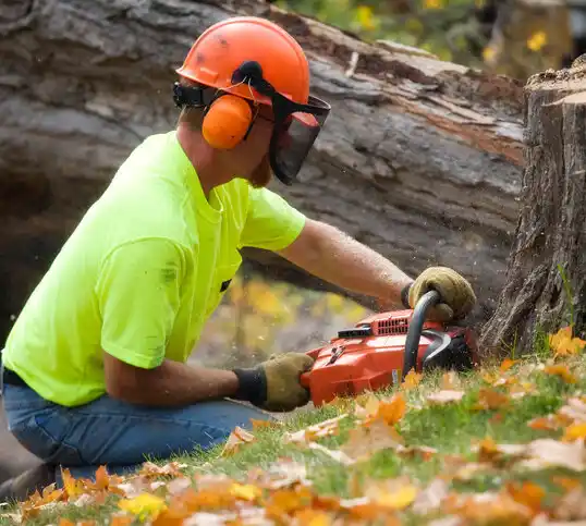 tree services Alda